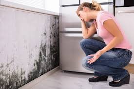 Best HVAC Mold Inspection and Cleaning  in Niantic, CT